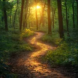 When is a separation the right step?